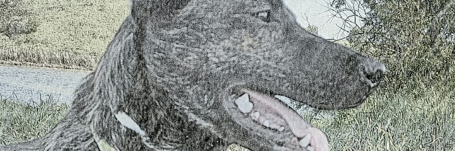TheRealCJ007's profile banner image