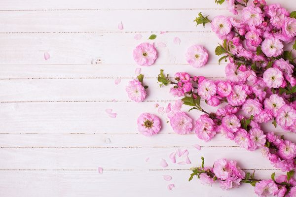 UlphaAlfiana's profile banner image