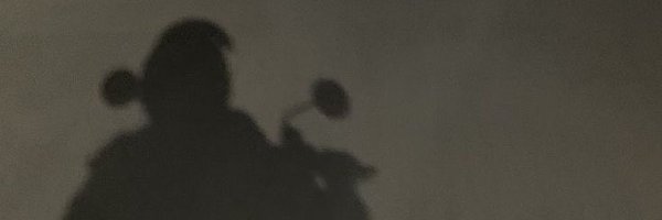 shitpostipal Profile Banner