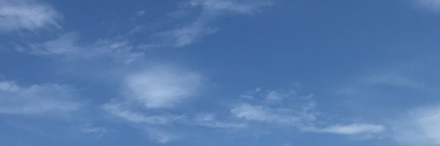 Pato Coitado banner