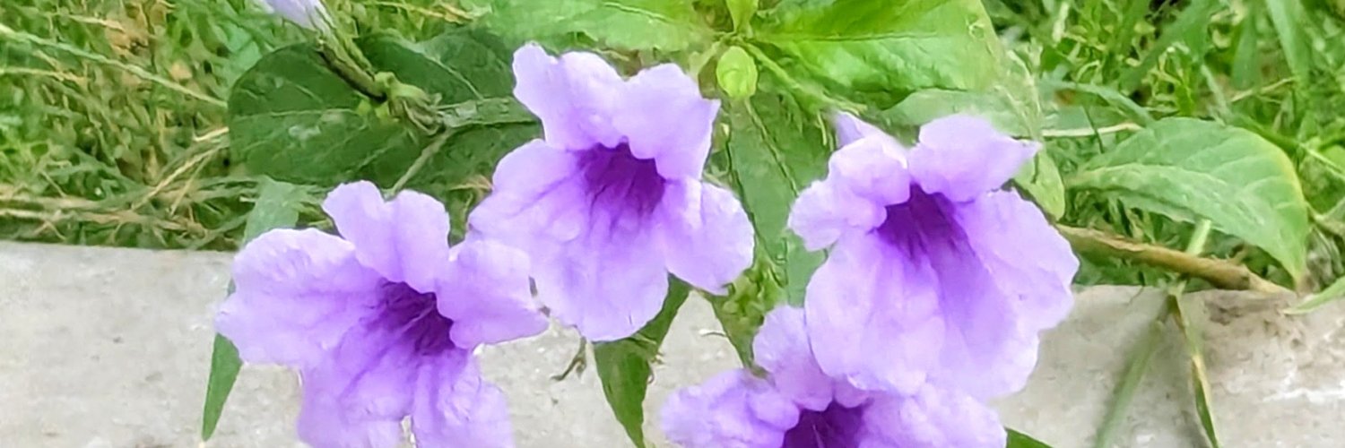 amjadkhan92's profile banner image