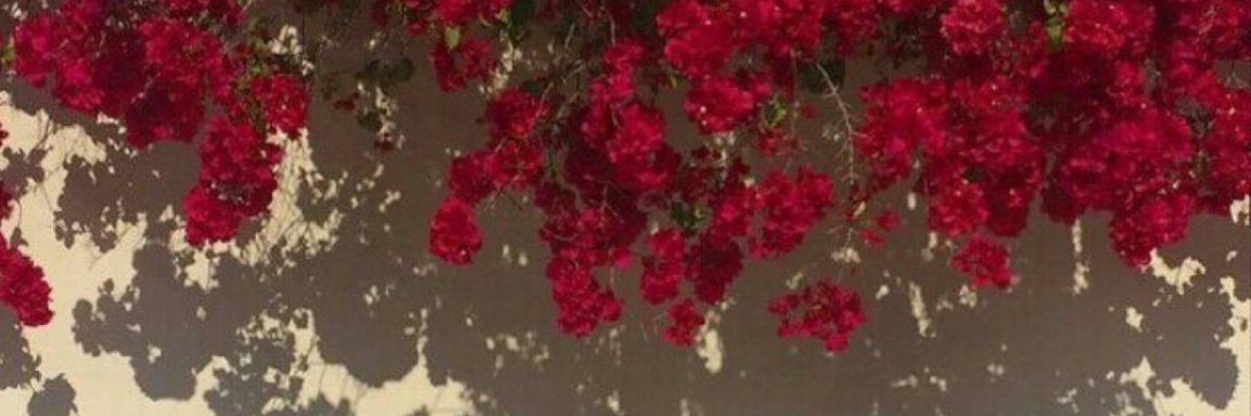 Brianyx3's profile banner image