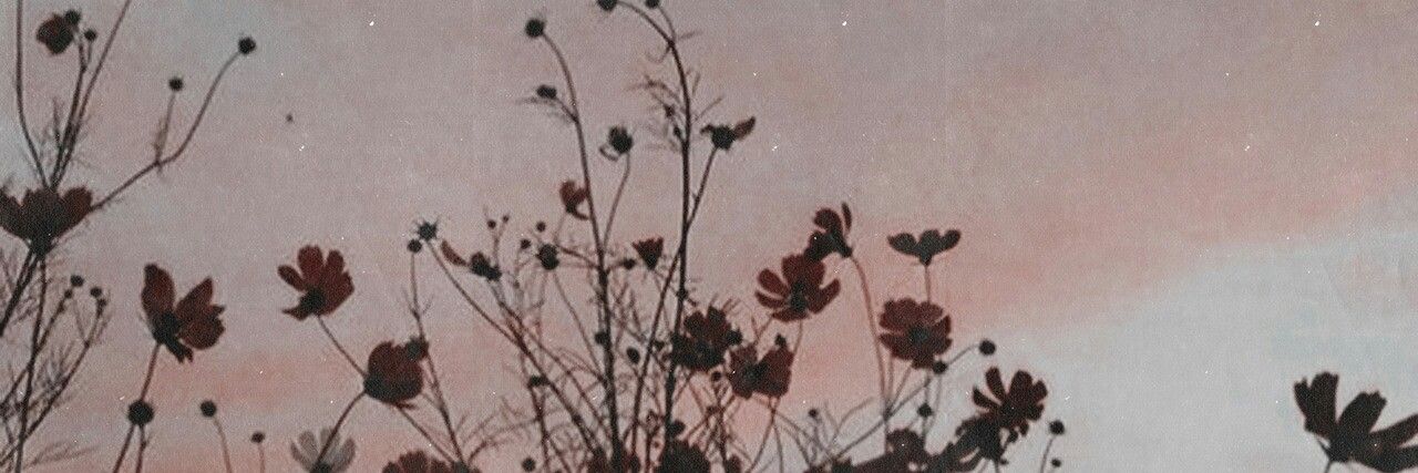 RosaCorso's profile banner image