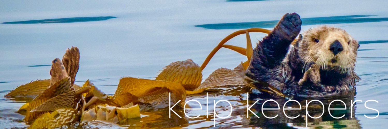 TheOtterProject's profile banner image
