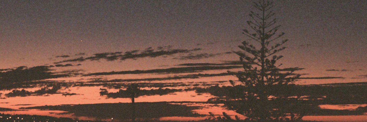 Hayley Thompson banner
