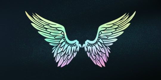 panny_phan's profile banner image