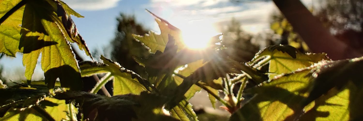 Dugachug's profile banner image