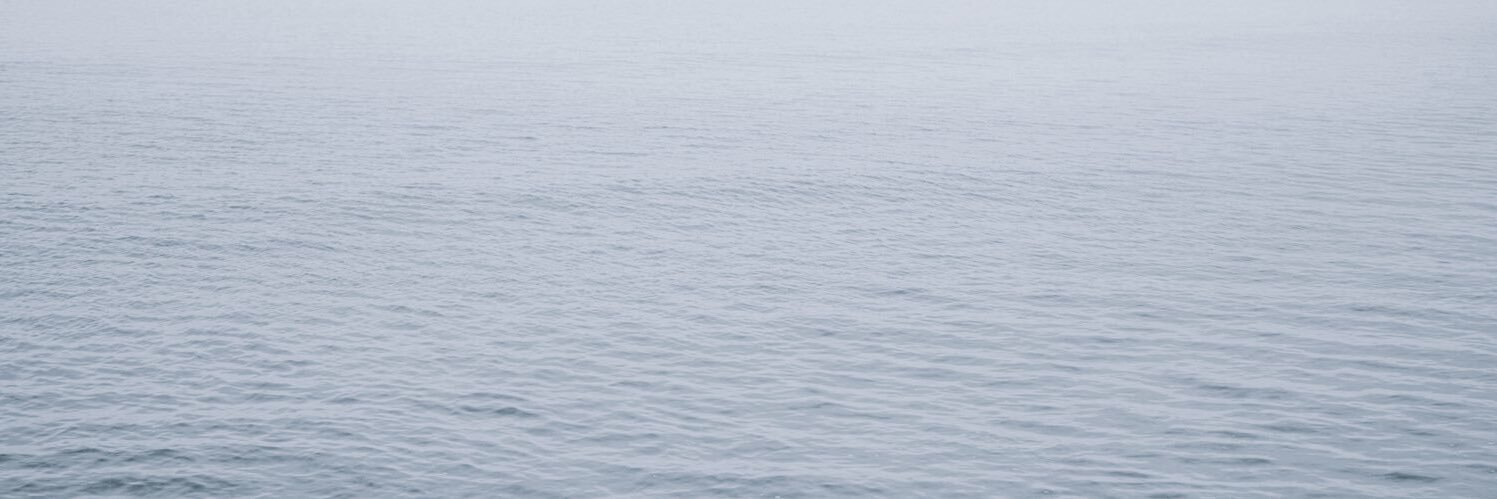 birco526's profile banner image