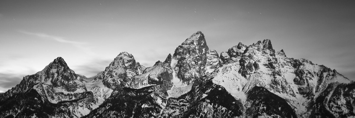 Francis Neric, MS, MBA banner