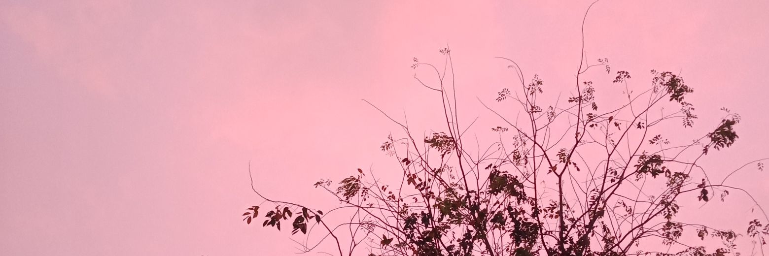 fuanrdt's profile banner image