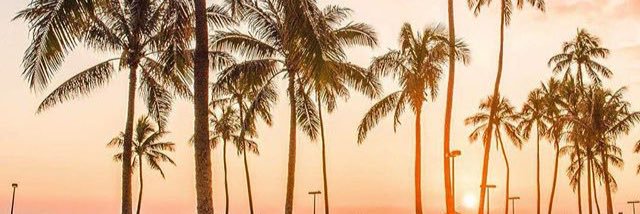 tashblythin's profile banner image