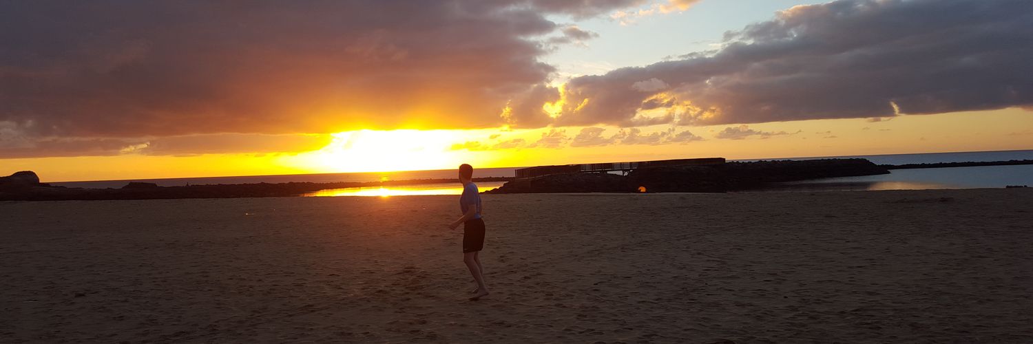 Dan Sanderson banner