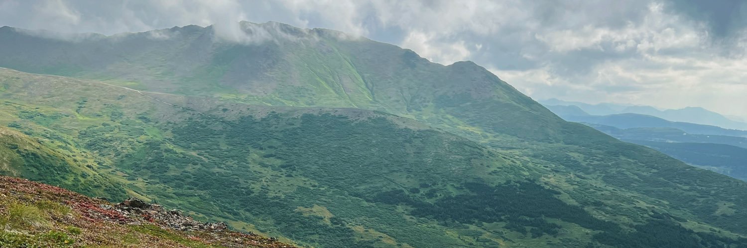 monicajpg's profile banner image
