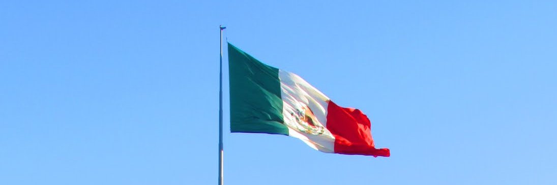 SANDRA LUZ CASTILLO banner