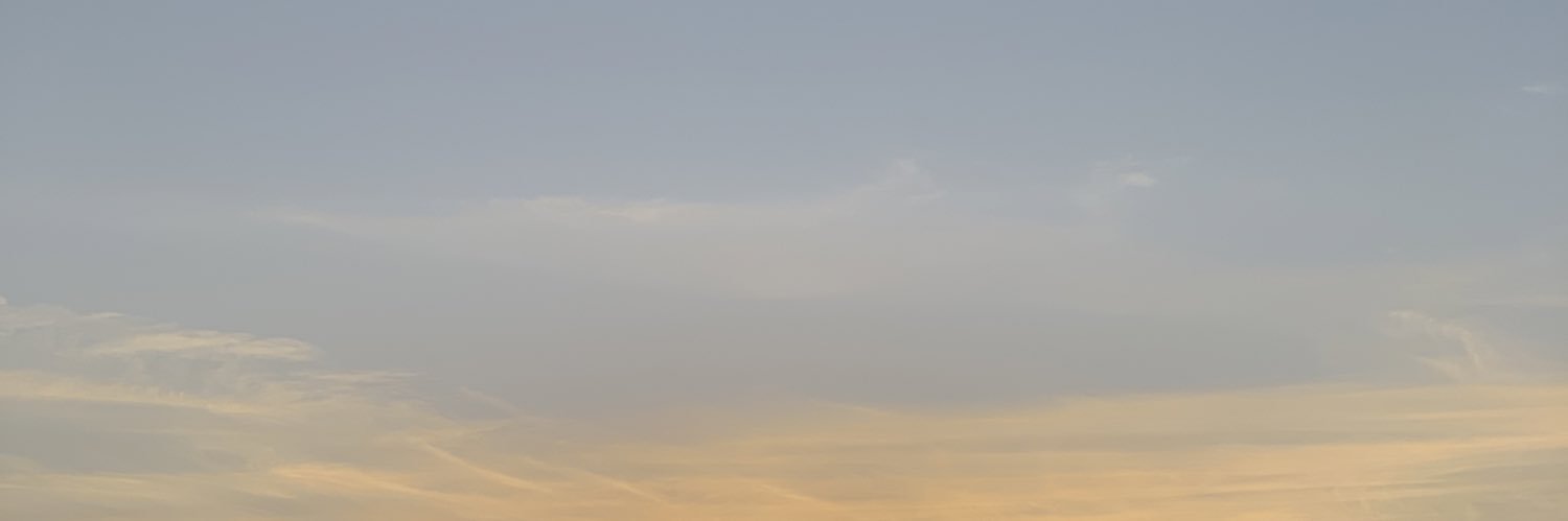 Rune Eskildsen banner