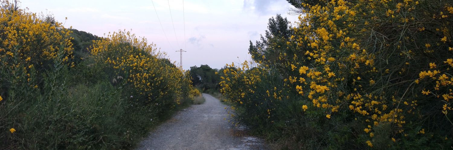 Míriam Freixas banner