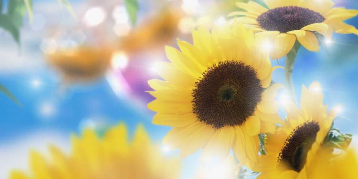 nikkig484's profile banner image