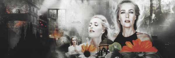 XFilesCookie Profile Banner