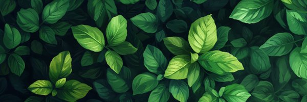 digitalandreas Profile Banner