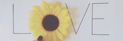 anadanny4's profile banner image
