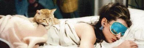 Maddy Ellison banner