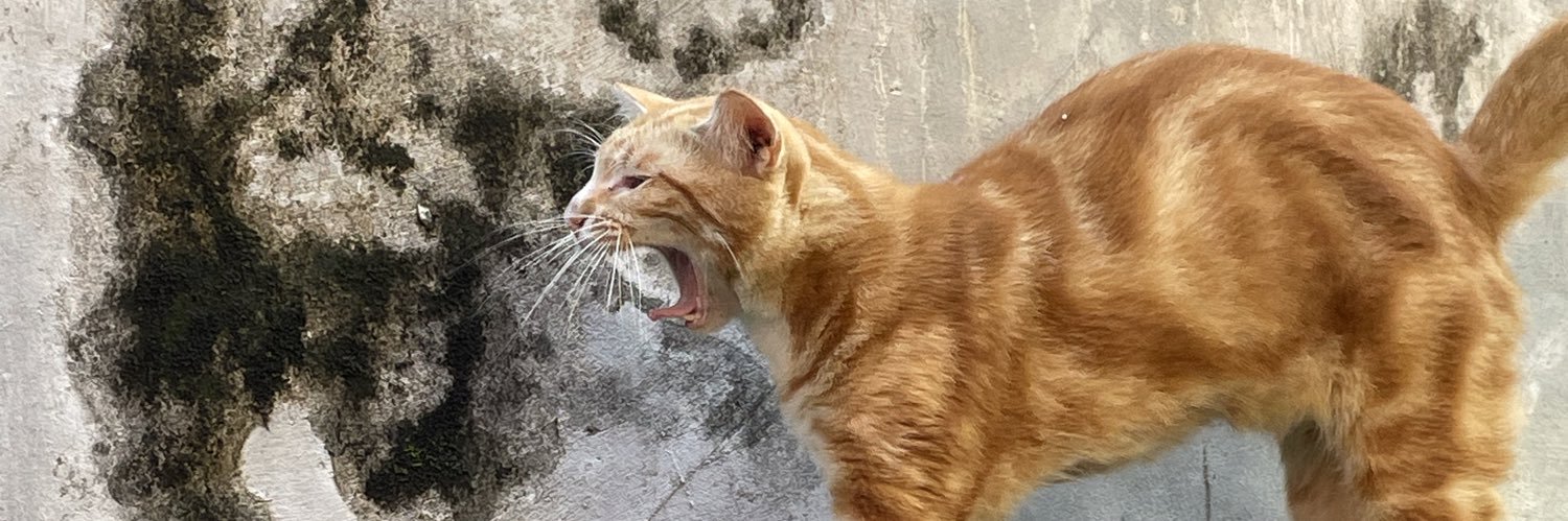 najibsat_'s profile banner image