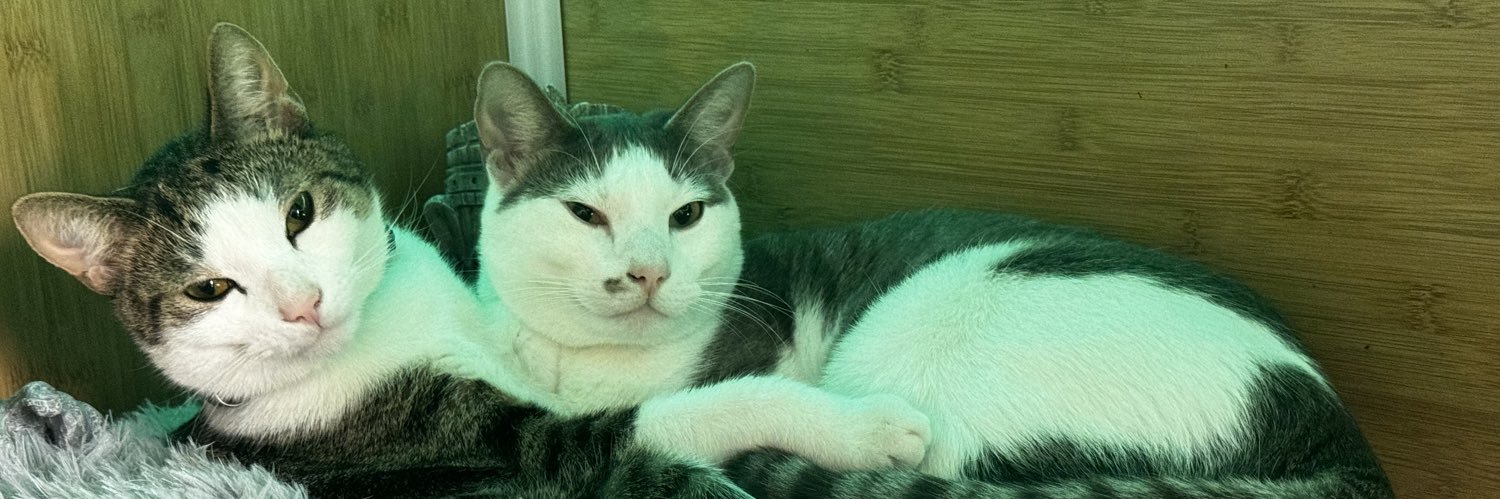 KahunaCP's profile banner image