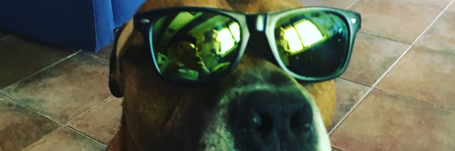 XimoPalacios's profile banner image