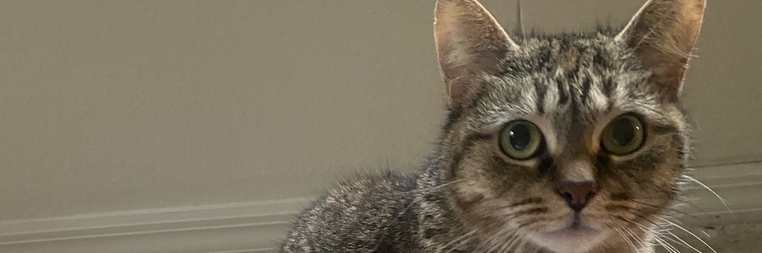 Nikkdabbs007's profile banner image