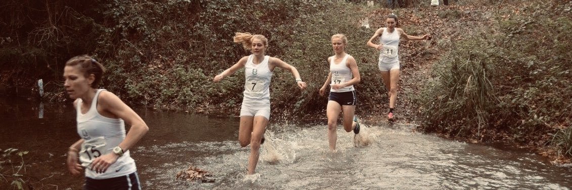 Rachelle Falloon banner