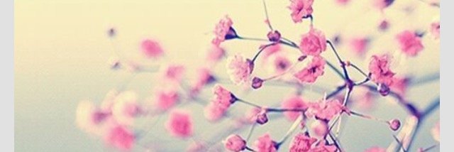 Emma_LP_'s profile banner image