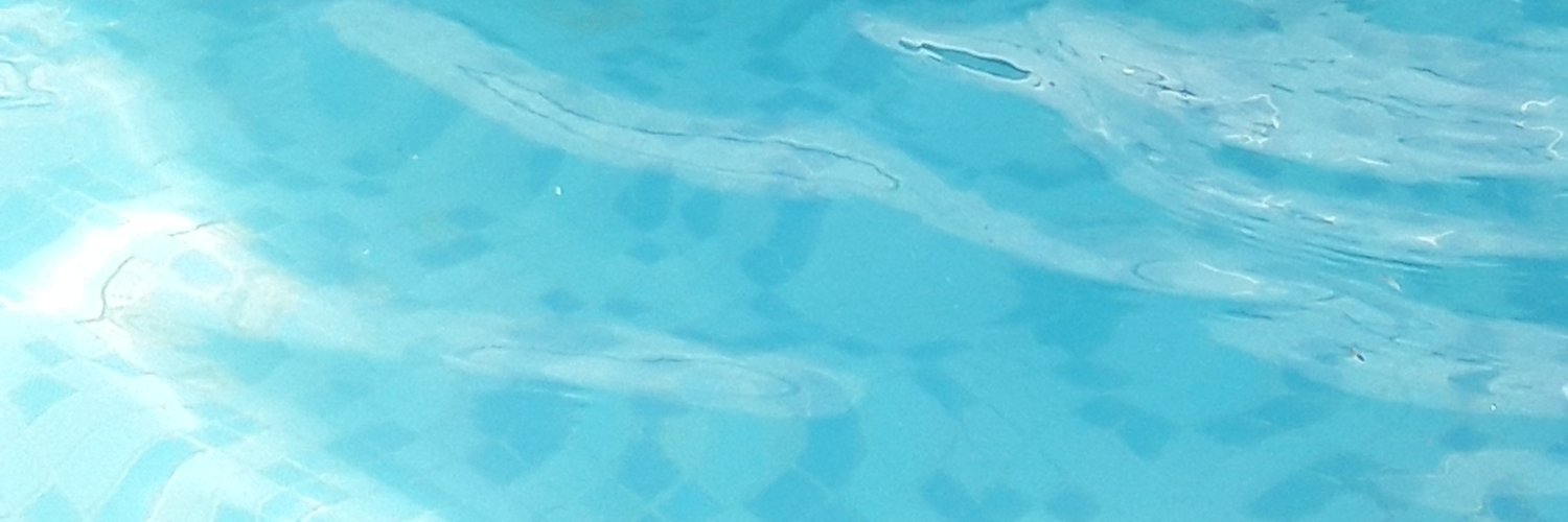 alissonukerman's profile banner image