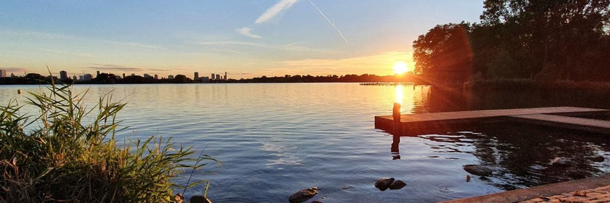 BertRotterdam banner