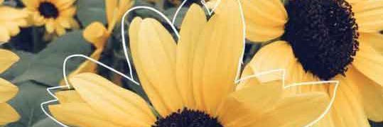 InmaculadaBG's profile banner image
