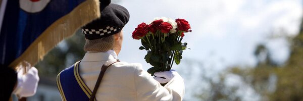 BrawLads Profile Banner