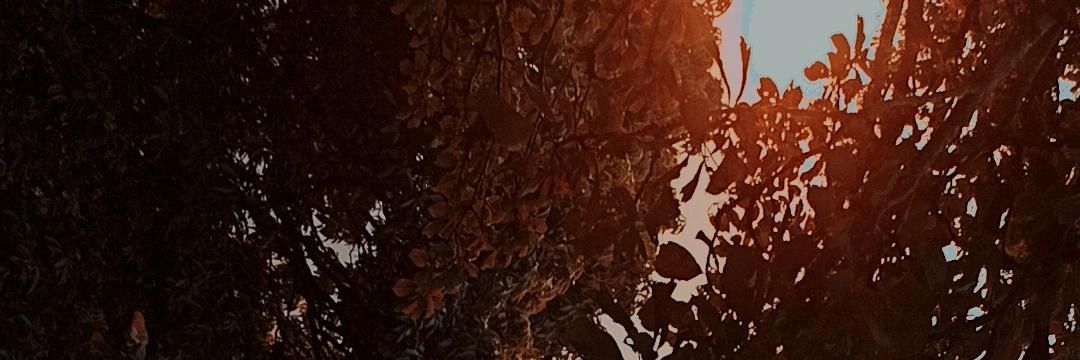 Mighty_Monk_'s profile banner image
