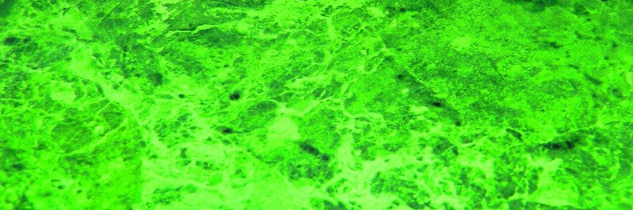 piepenbach's profile banner image