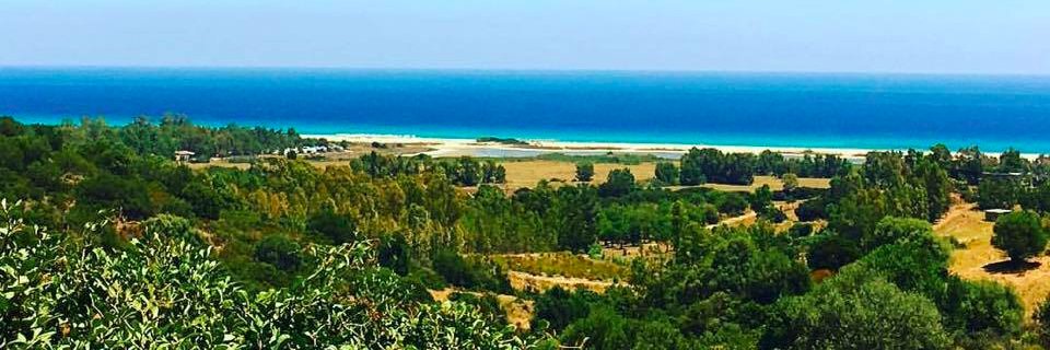 Gillian Seely banner