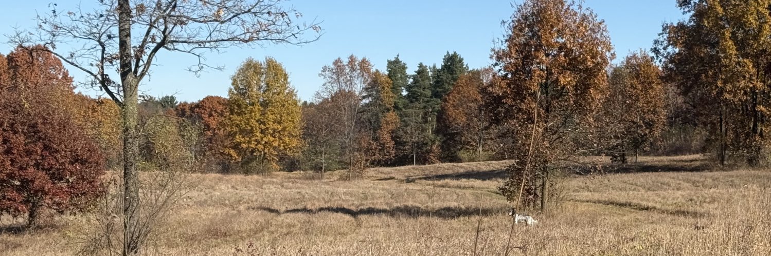 Ian Sefferman banner