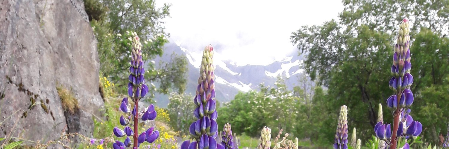 Hermann_Huber's profile banner image