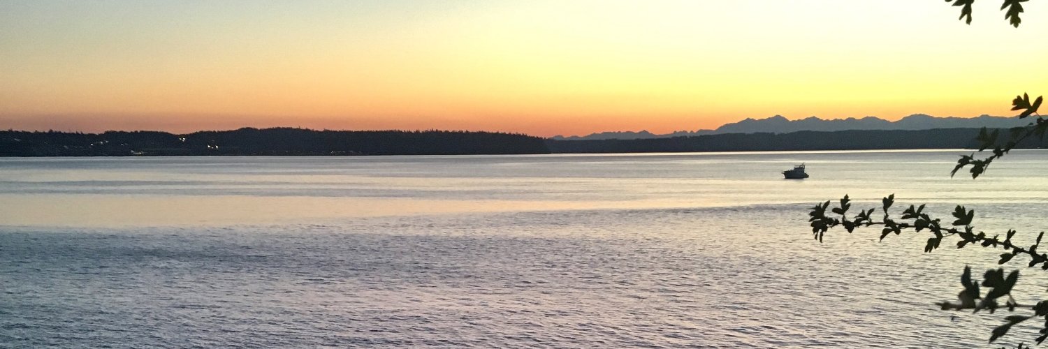 alan_amoreno's profile banner image