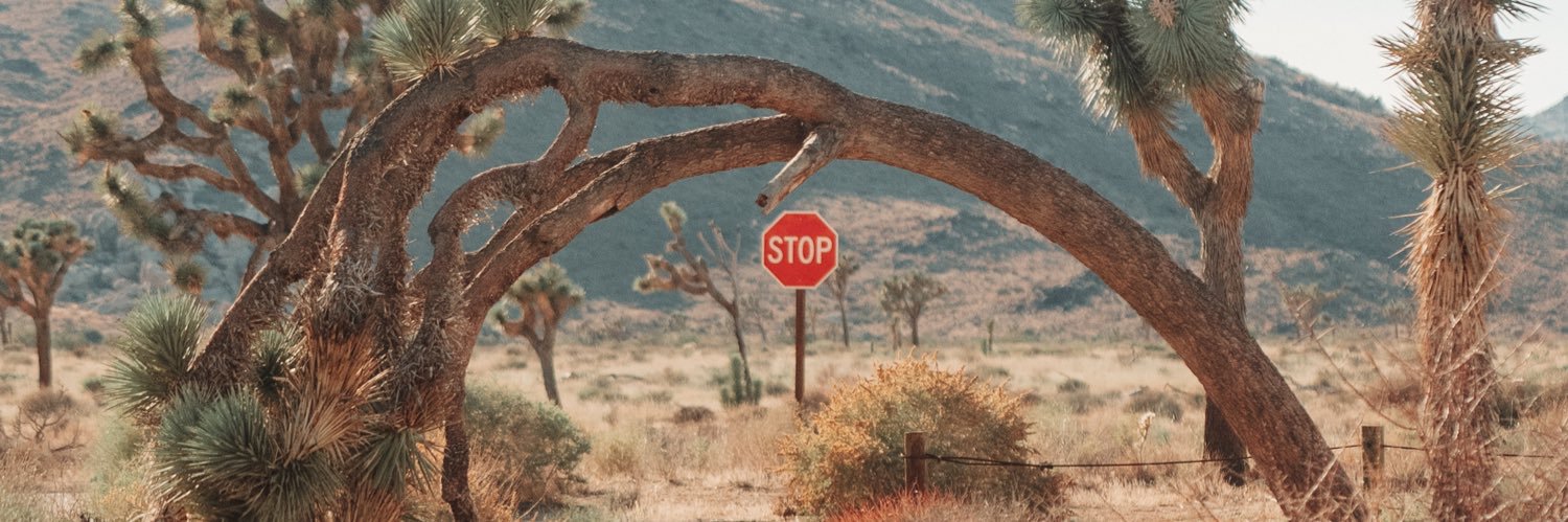 TomBeardyPayne's profile banner image