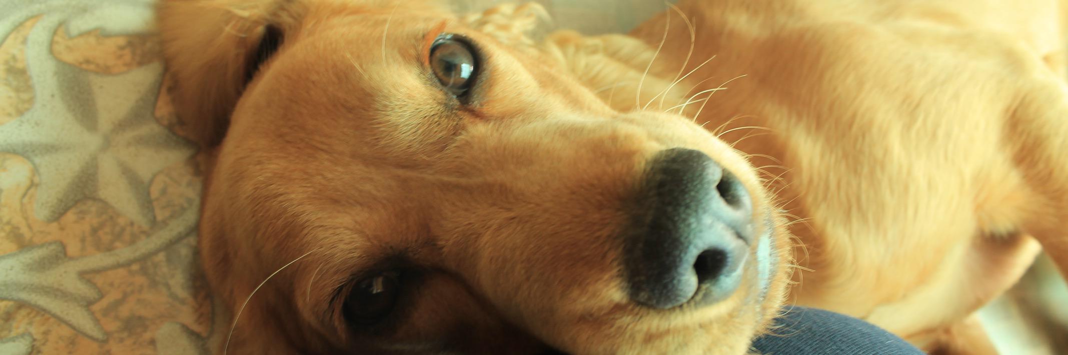 Loreto_uh's profile banner image