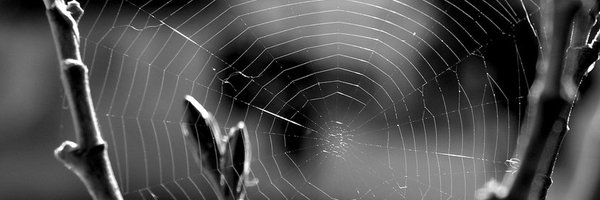 trader_board Profile Banner