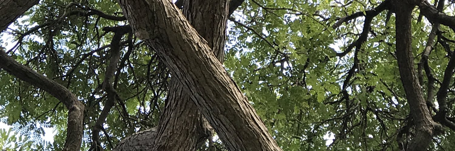 Moses_510's profile banner image