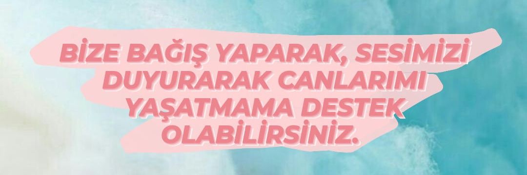 zeynepbasaran4's profile banner image