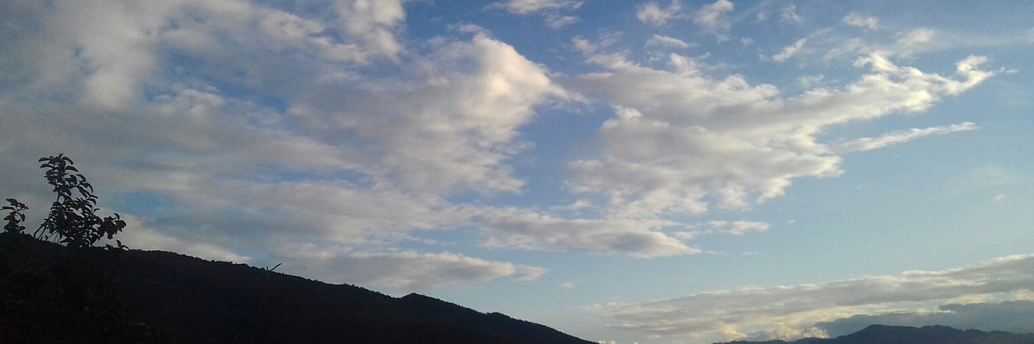 Pepinis's profile banner image