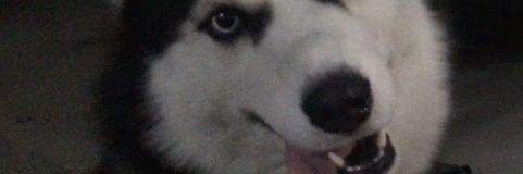 _Alpha24's profile banner image