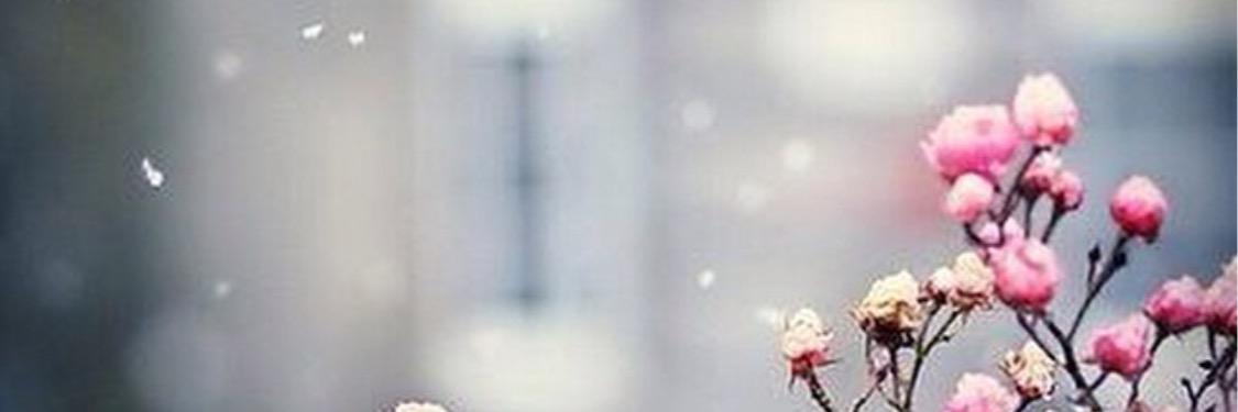 aswar65's profile banner image