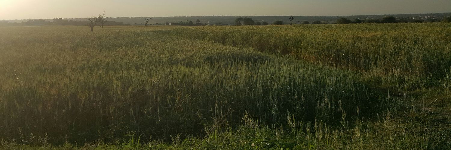 GudCorpse's profile banner image